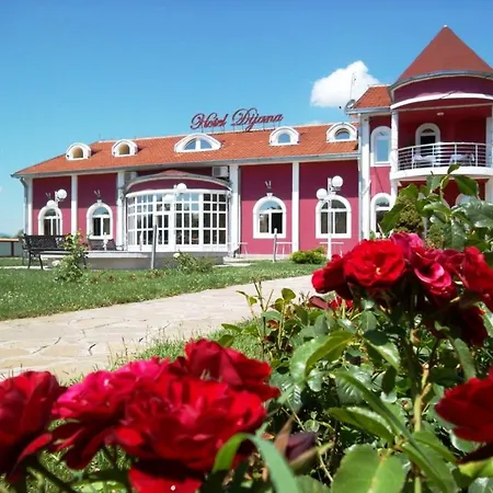 Dijana 酒店 皮罗特